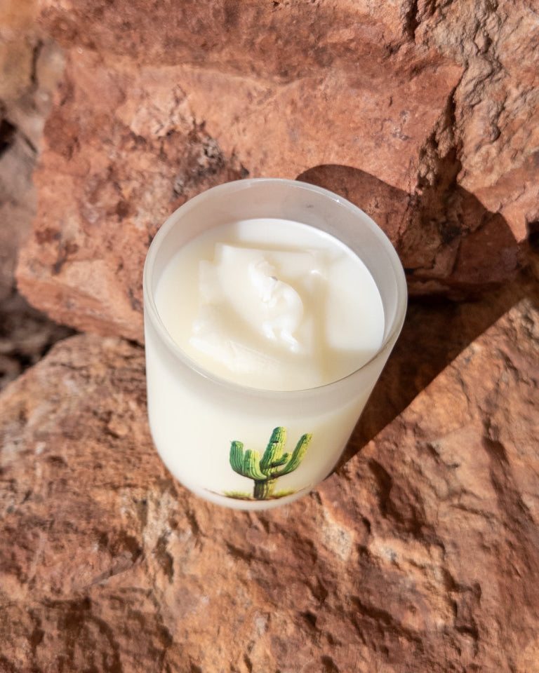 Mojave Desert coconut soy candle in a printed frosted glass vessel with a green saguaro cactus design.