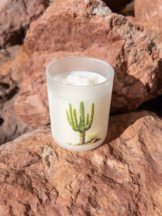 Frosted candle with cactus design on a rocky surface