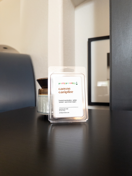 Canyon Campfire wax melts displayed beside an electric wax warmer
