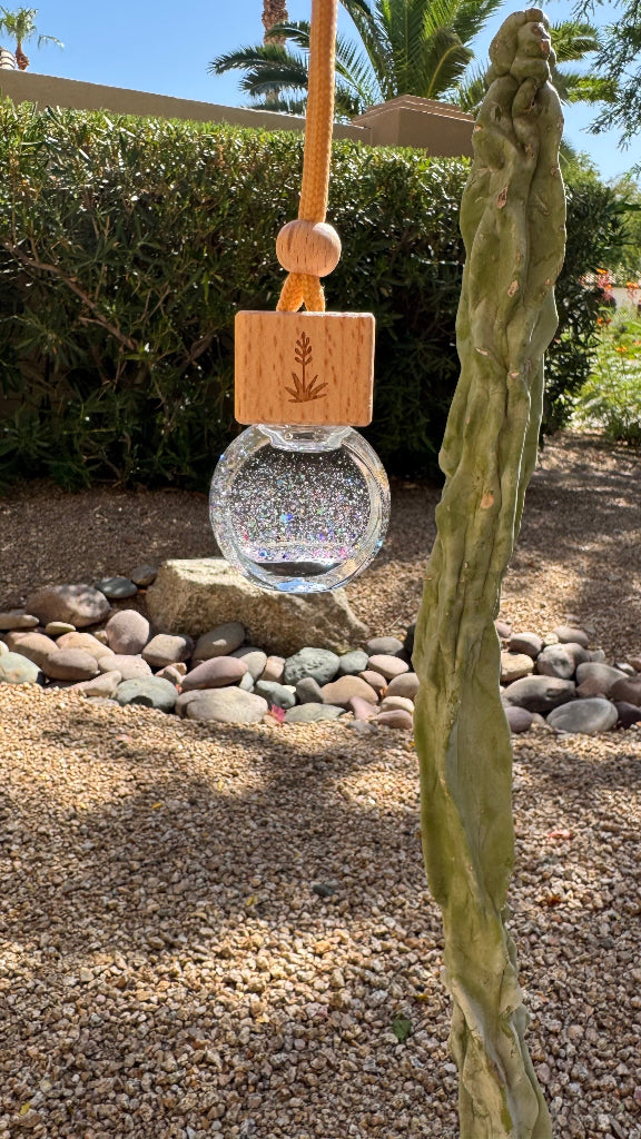 A clear glass hanging ornament or decorative bowl with a wooden top block engraved with a leaf, suspended by a tan cord outdoors. The ornament is photographed in a garden setting with gravel, rocks, shrubs, and a tall cactus in the foreground.