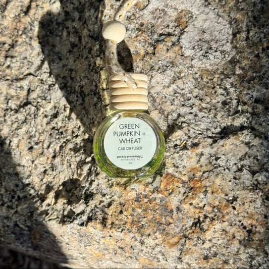Car diffuser labeled 'Green Pumpkin & Wheat' on a textured stone surface