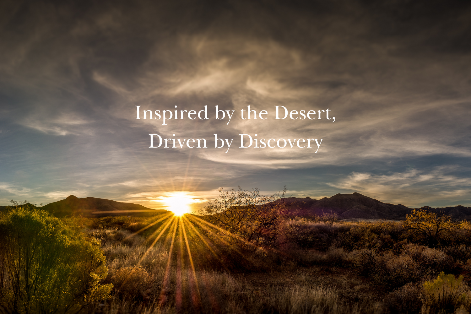 Inspired by the Desert Driven by Discovery