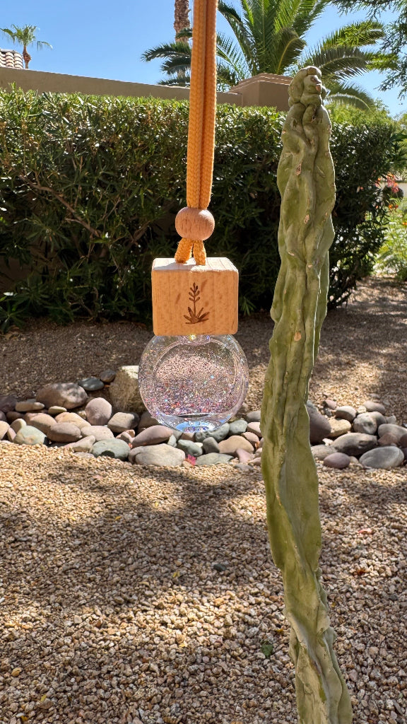 A hanging glass diffuser bottle with a wooden top block and a tan cord, photographed outdoors in a garden setting with gravel, rocks, shrubs, and a tall cactus in the foreground.