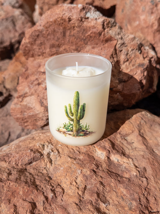 Candle with cactus design on a rock surface