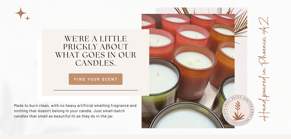 Prickly Provisions Homepage Header
