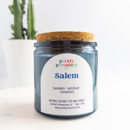 Candle jar with a cork lid labeled 'Salem' by Prickly Provisions on a white background.